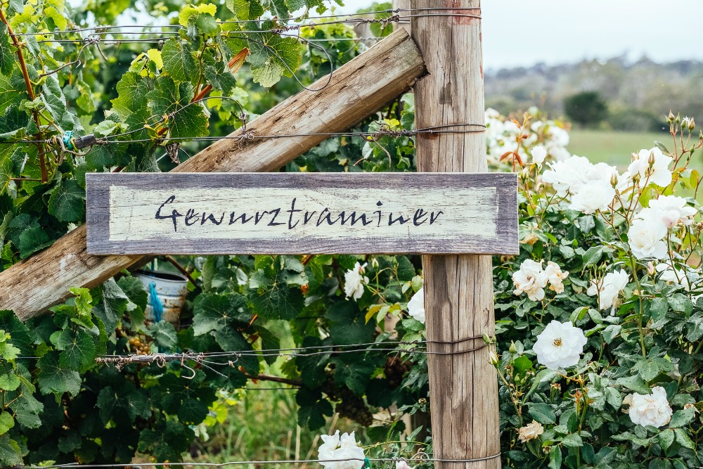 Premium quality Tasmanian wines